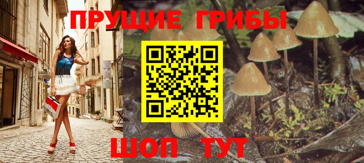 Гусиноозёрск  Галлюциногенные грибы GOLDEN TEACHER  Вход с VPN 