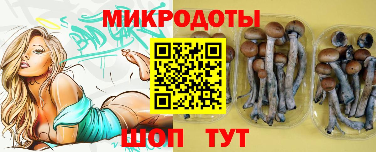 Псилоцибиновые грибы мухоморы Гусиноозёрск